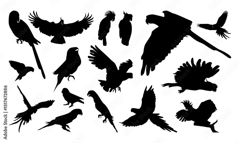 Obraz premium Variety of parrot and bird silhouettes.