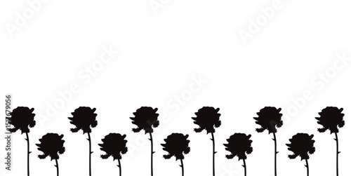 Gothic Black Roses Frame template design. Vector illustration of dramatic Black Rose Empty Frame isolated white. Perfect drama border for web banner goth background. EPS 10