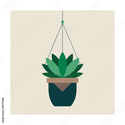 Succulent in Hanging Macrame Planter Minimal Style