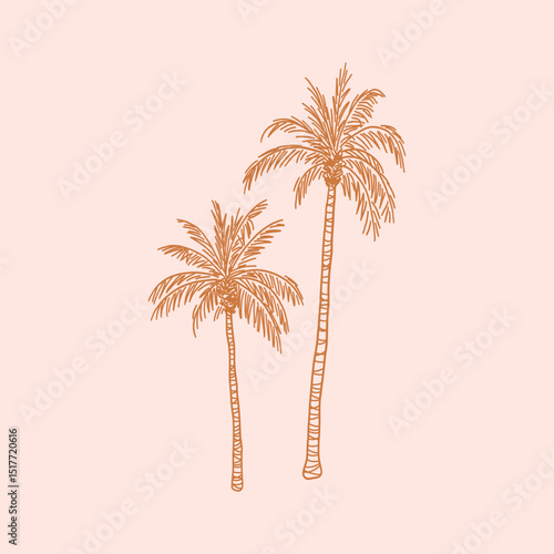 Palm tree with leaf and trunk. Exotic tropical summer plant silhouette with leaves. Botanical hand drawn vector illustration in sketch style