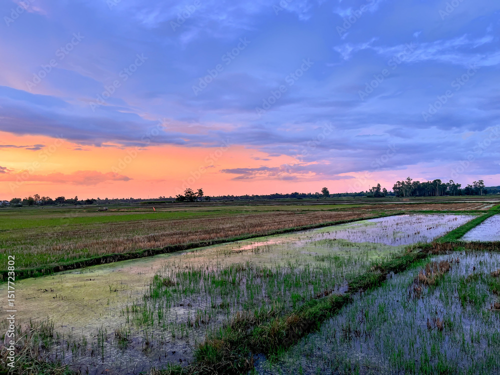 Obraz premium sunset i the countryside