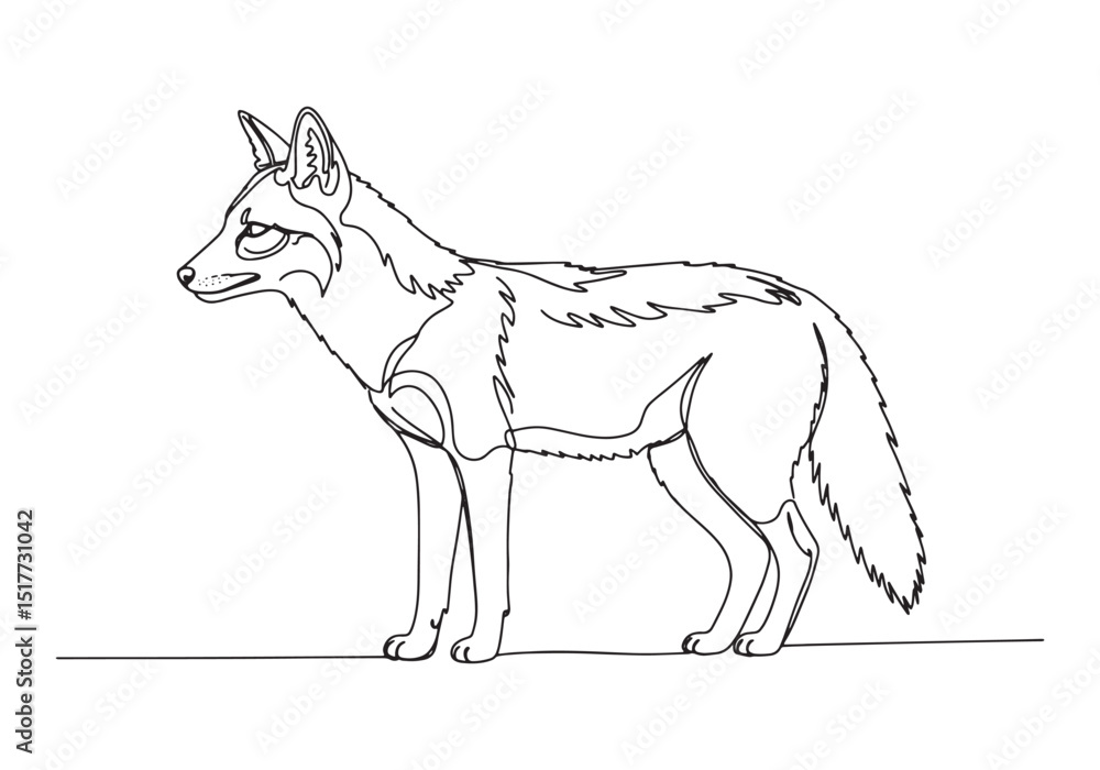 Fototapeta premium Elegant jackal illustration in a minimalist continuous line draw