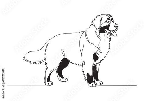Elegant Bernese Mountain Dog Continuous Line Art Illustration