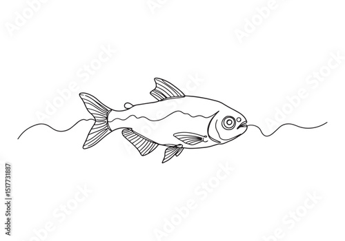 Elegant continuous line drawing of a Neon Tetra in black and whi