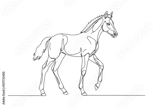 Elegant foal illustration created with single line drawing techn