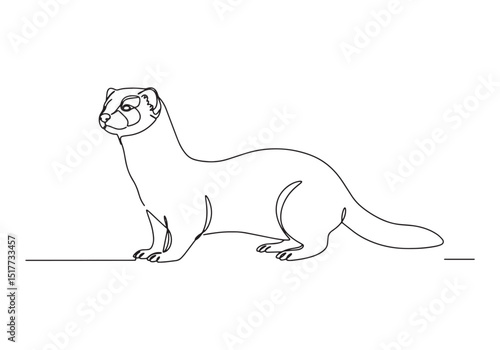 Elegant Mink Portrait in Continuous Line Art Style on White Back