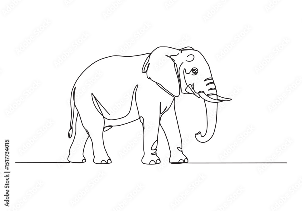 Obraz premium Elegant minimalist elephant illustration in continuous line draw