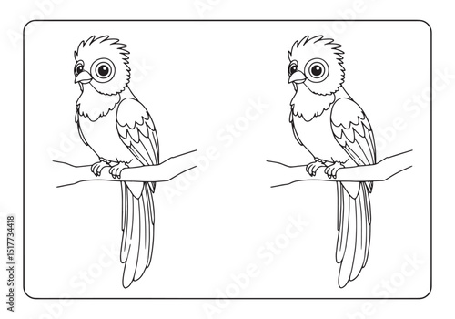 Detailed Quetzal Illustration Ready for Coloring Book Fun and Ar