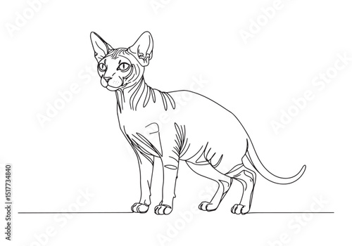 Elegant Sphynx Cat Portrait in Continuous Line Art Style Illustr