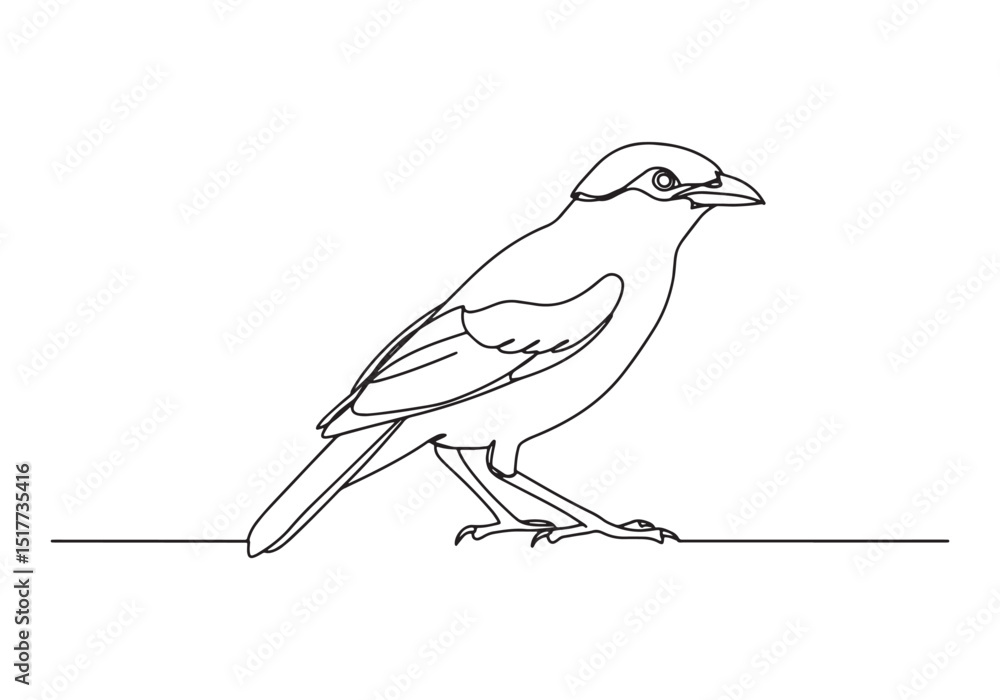 Elegant bali myna bird illustration in minimalist oneline drawin Elegant bali myna bird illustration in minimalist oneline drawin