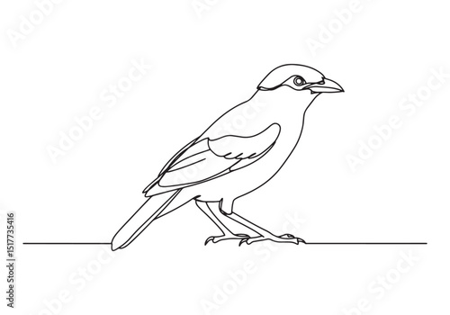 Elegant bali myna bird illustration in minimalist oneline drawin