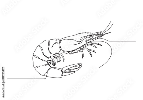 Elegant single line drawing of a fresh shrimp aquatic creature a