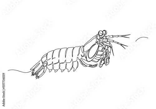 Elegant mantis shrimp one-line drawing in minimalist black and w