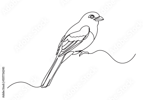 Elegant trogon bird portrayed in continuous line drawing style,