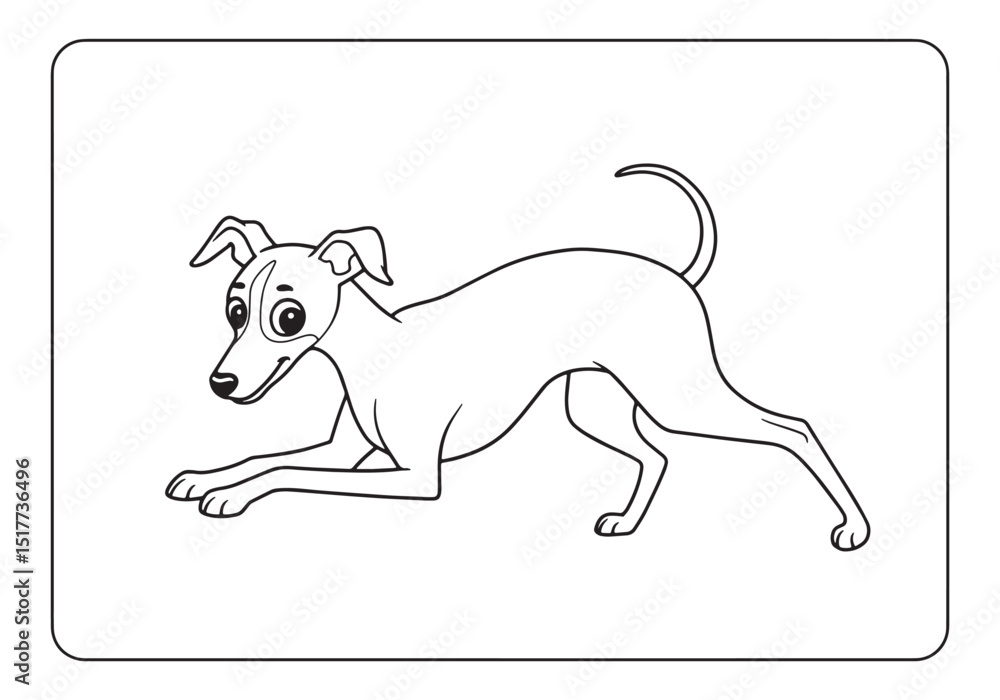Fototapeta premium Adorable Italian Greyhound puppy coloring page for kids and adul