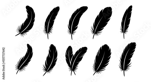Collection of Black Feather Silhouettes. Hand drawing vintage art realistic quill feathers. Vector Illustration Featuring Various Feather Shapes for Decorative Design, Nature Themes