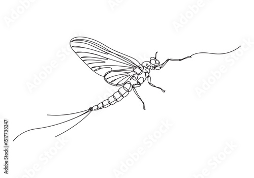 Elegant Mayfly Illustration, A Single Continuous Line Drawing on