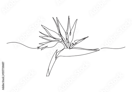 Elegant bird of paradise flower in a continuous line drawing sty