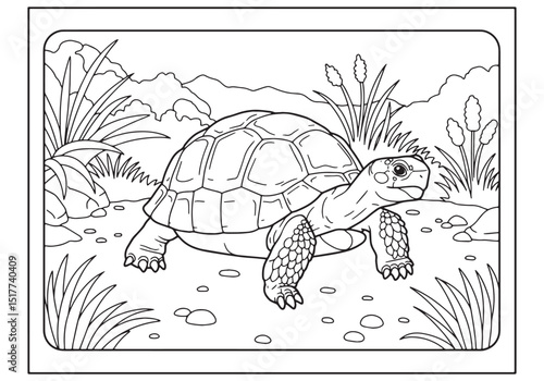 Delightful Sulcata Tortoise Coloring Page, A Black and White Adv