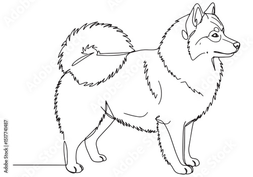 Elegant Finnish Spitz Portrait in Continuous Line Art Illustrati