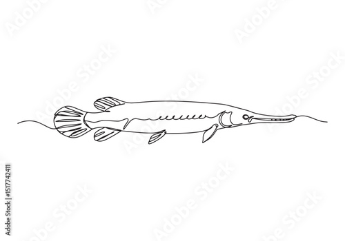 Elegant line art of a gar fish, A vintage black and white illust