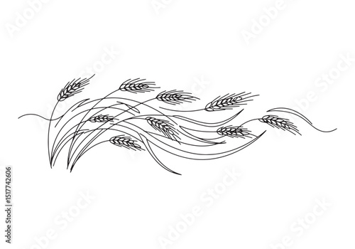 Elegant wheat stalks swaying in the wind single line art illustr