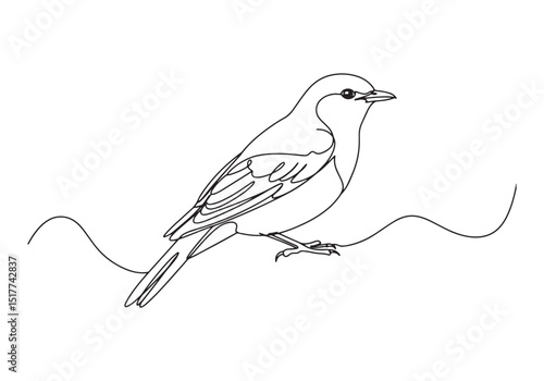 Elegant nightingale perched on a branch, continuous line drawing