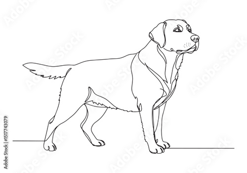 Elegant one-line drawing of a Labrador Retriever, minimalist pet