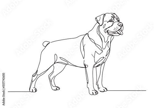 Elegant Rottweiler Portrait Created with Continuous Line Techniq
