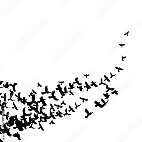 Canvas Print a flock of birds flying