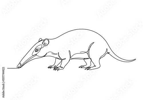 Elegant continuous line drawing of a Solenodon animal illustrati