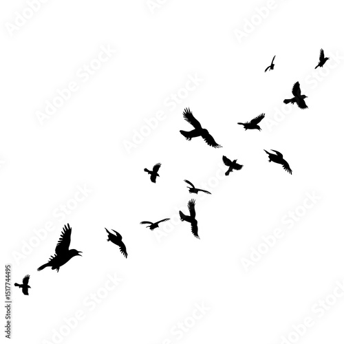 Canvas Print flocks of birds flew overhead