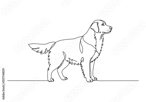 Elegant Golden Retriever Portrait in Continuous Line Art Illustr