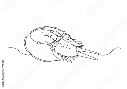 Elegant Single Line Drawing of a Horseshoe Crab, Black and White