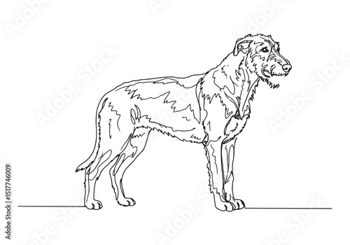 Elegant Irish Wolfhound Portrait, A Minimalist Continuous Line M