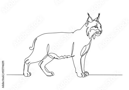 Elegant continuous line drawing of a lynx, showcasing minimalist