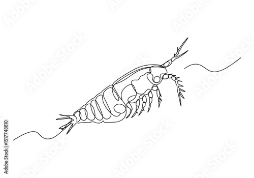 Copepod Crustacean Continuous Line Drawing, Marine Life Illustra