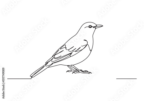 Minimalist oneline art drawing of a Thrush bird in vector format