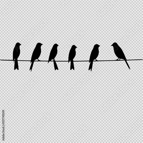 Minimalist black and white composition of birds perched on a wire. Clean lines, simple silhouettes, and a plain gray background create a calm, modern visual for decor, design, or illustration use.