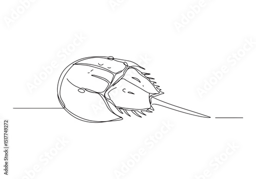 Horseshoe crab continuous line drawing with a minimalist style v