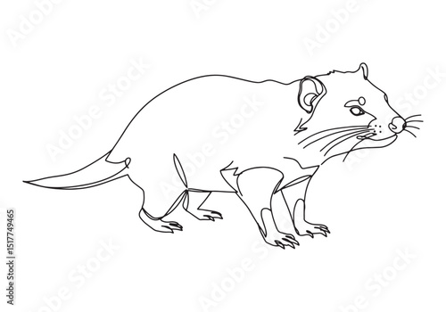Minimalist continuous line drawing of a Tasmanian devil illustra