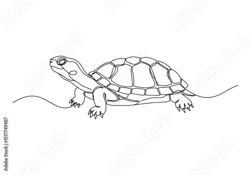 Elegant continuous line drawing of a painted turtle illustration