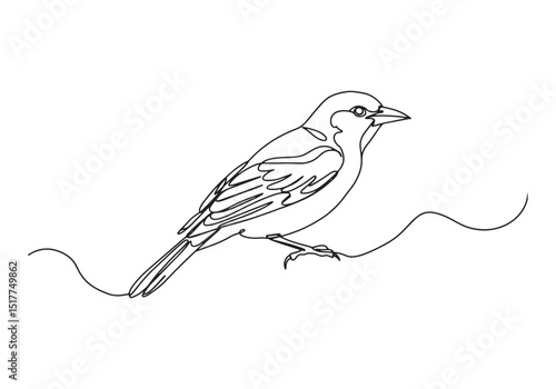 Elegant Oriole Bird in Minimalist Continuous Line Art Illustrati