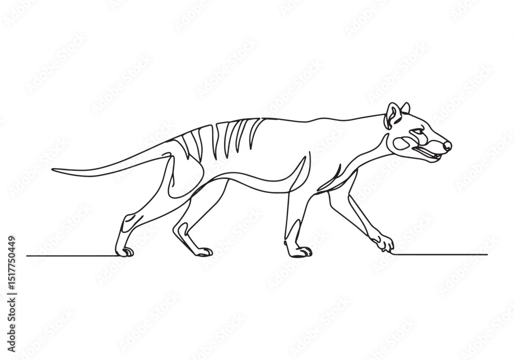 Fototapeta premium Elegant continuous line drawing of a thylacine, Tasmanian tiger