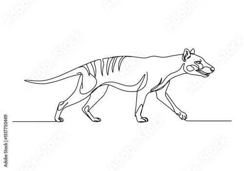 Elegant continuous line drawing of a thylacine, Tasmanian tiger
