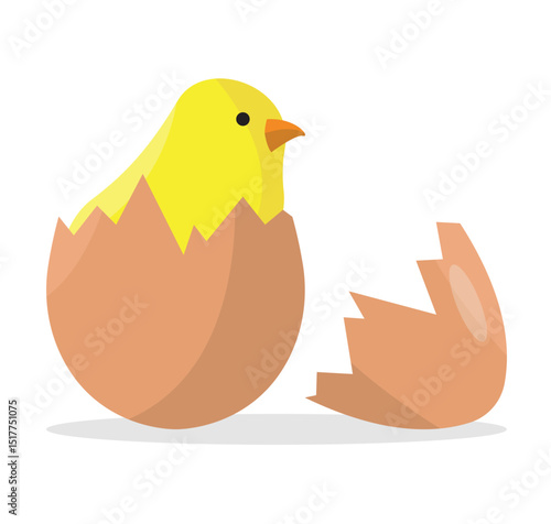 Icon of a hatched chicken from an egg on a white background.