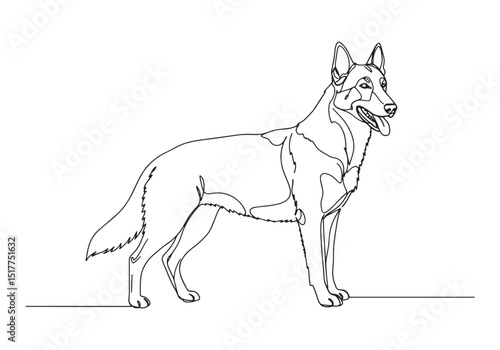 Elegant one-line drawing of a Belgian Malinois dog breed showcas
