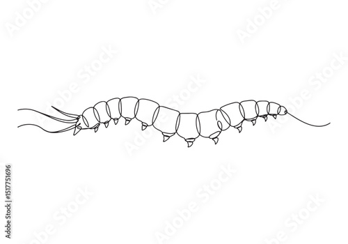 Elegant line drawing of an arrow worm showcasing minimalist arti