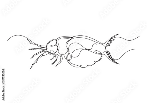 Elegant one-line drawing of Daphnia water flea, capturing its un