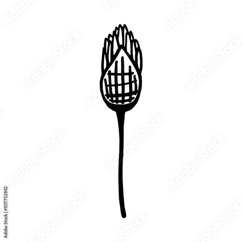 Vector image of chives flower. Botanical design element. Основные RGB